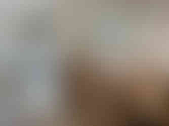 南高江モデルハウス ペンギンホーム