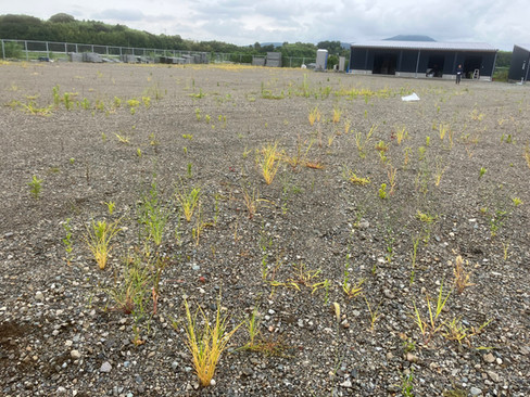 スタッフブログ　ペンギンホーム