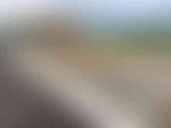 富合町古閑モデルハウス　平屋　ペンギンホーム