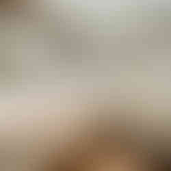 合志市御代志で平屋を建てるならペンギンホーム