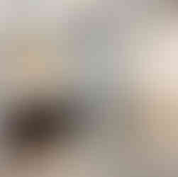 菊池郡大津町で新築を建てるならペンギンホーム