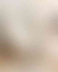 益城町モデルハウス　平屋　施工事例　ペンギンホーム