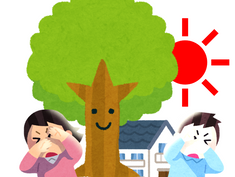 シンボルツリーの向き不向き