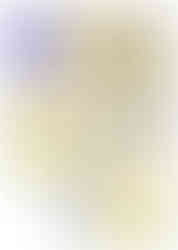 横手モデルハウス　間取り　ペンギンホーム