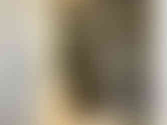 南高江モデルハウス ペンギンホーム