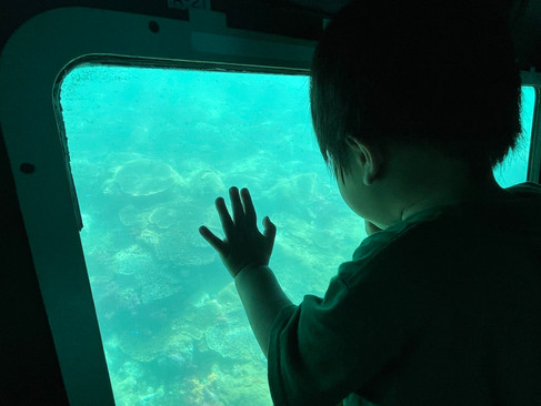 スタッフブログ ペンギンホーム