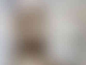 熊本市東区 モデルハウス 施工事例 ペンギンホーム