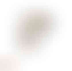 長嶺東モデルハウス ペンギンホーム