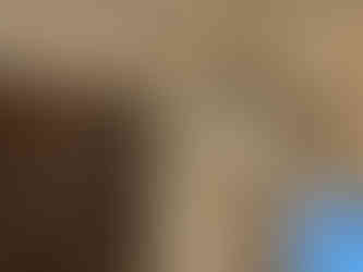 合志市で注文住宅を建てるならペンギンホーム