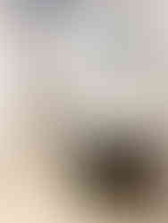 熊本市東区　注文住宅　施工事例　ペンギンホーム