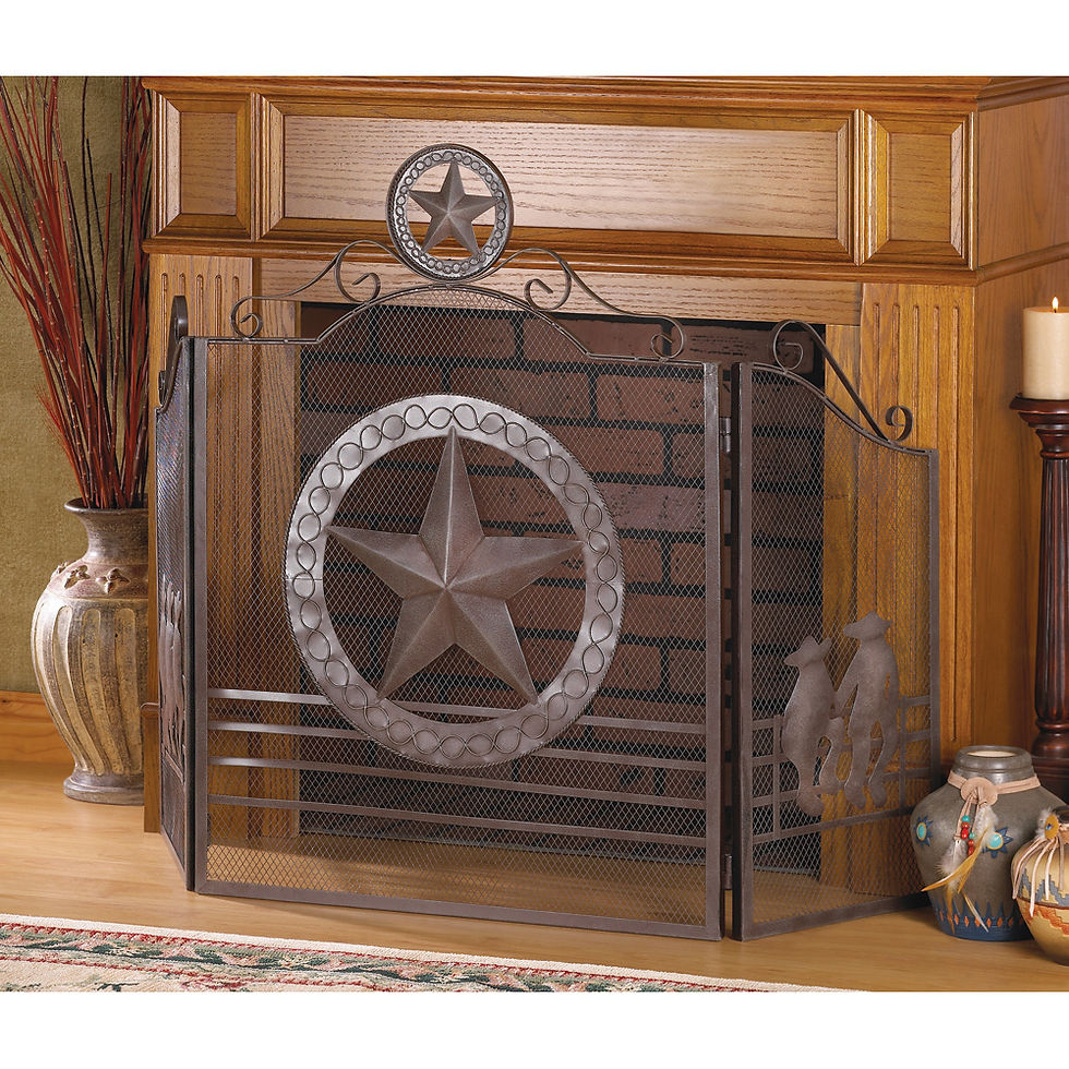 lonestar fireplace screen