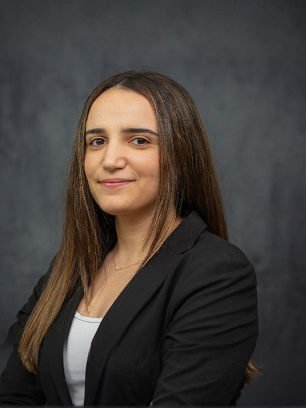Anush Minasyan Attorney