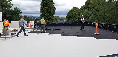 Roofing Layers Conventional 4-min.jpeg