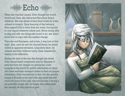 echo.jpg