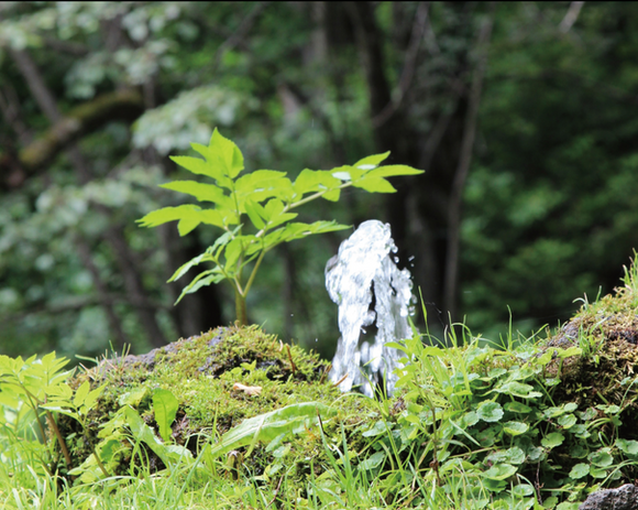 スクリーンショット 2022-09-03 12.50.41.png