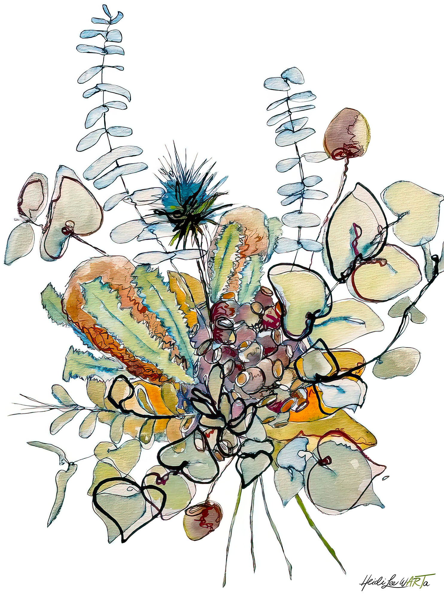 Banksia and Gumnuts Paper Print