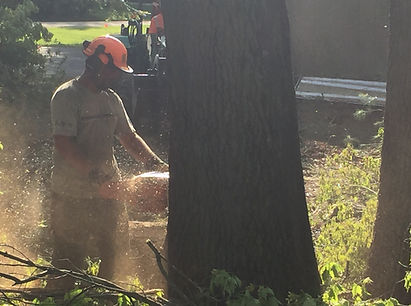 Man using a chainsaw
