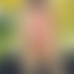 Welcome to My Blog: Let's Dive In