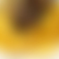 Vegan Mac and Cheese with Truffle Mushrooms