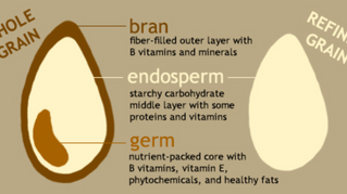 GRAINS AND THE GUT