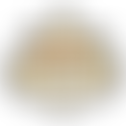 Adrienne's Holiday Draguation