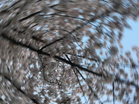 詩「永遠からの手紙」