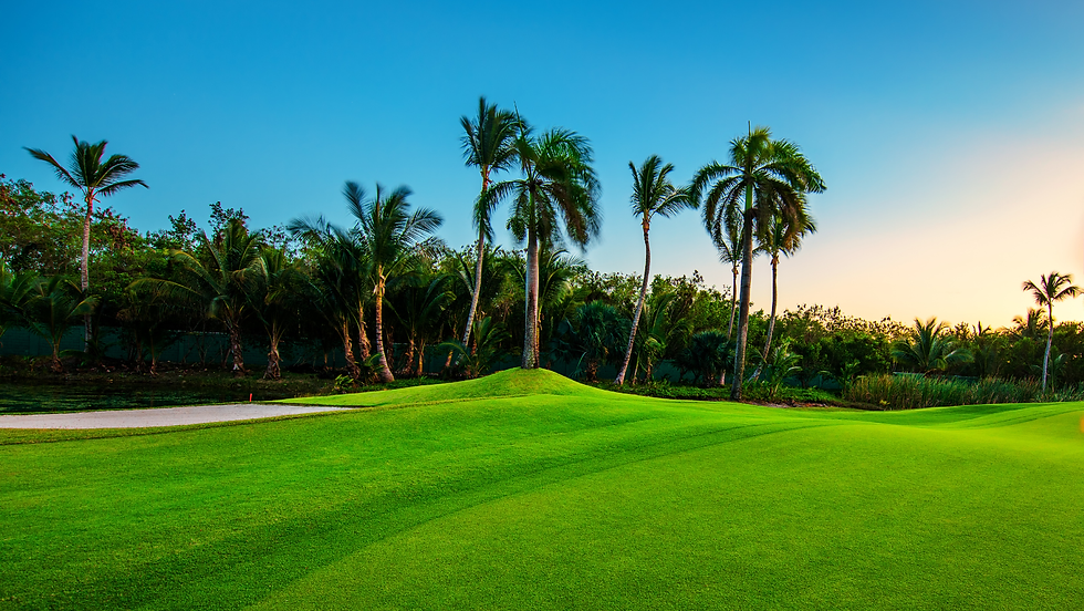 Lush tropical golf course with bright green fairway, palm trees, and a warm sunset sky, calm and serene.
