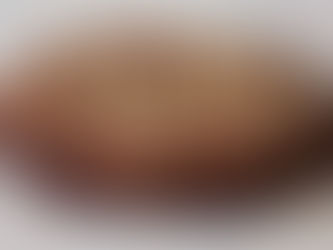 CHOCOLATE HAZELNUT CAKE (VEGAN)