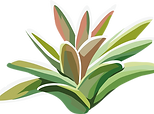 Bush