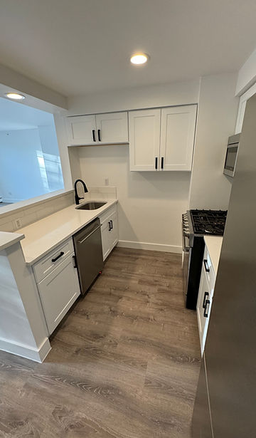 Kitchen Renovation
