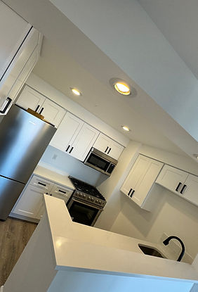 Kitchen Renovation