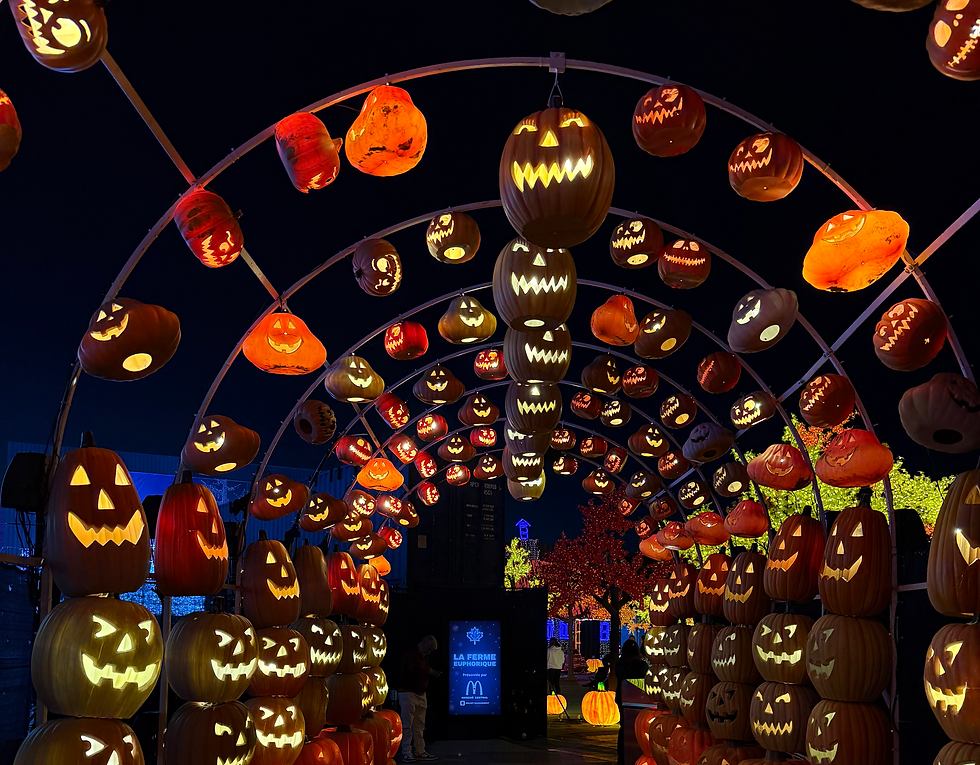 Tunnel citrouilles illuminées