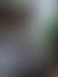 Table avec plats au restaurant