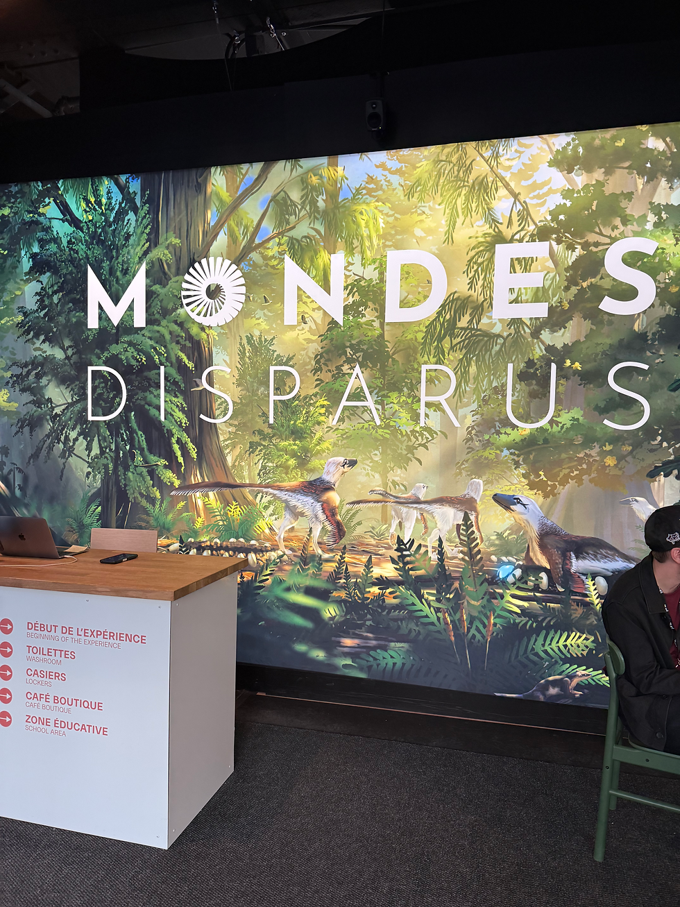 Affiche exposition Monde Disparus