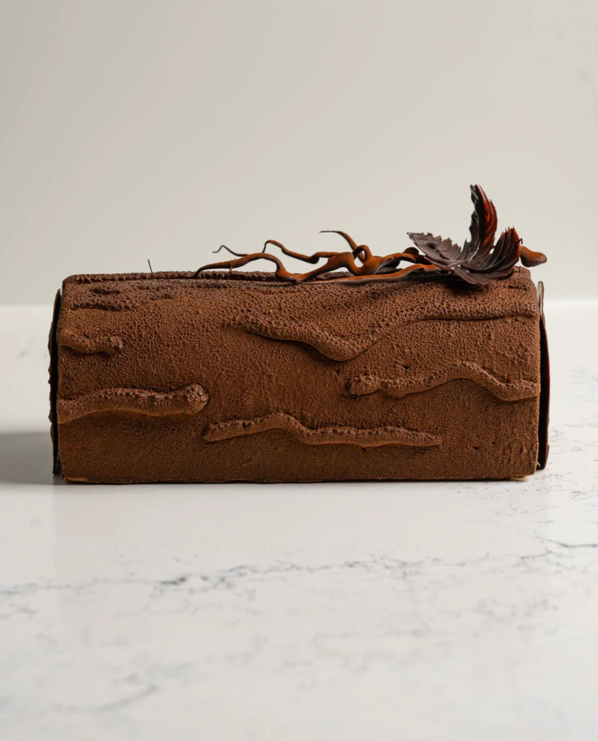 buche chocolat avec feuille