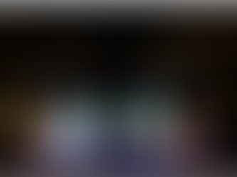 sculptures éclairées en forme d'ours et pingouins