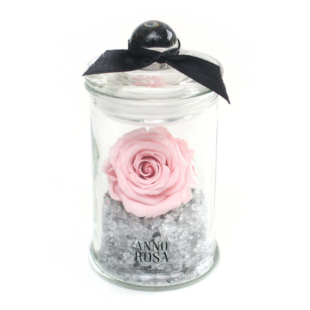 Mini Rose Jar Collection Coming Soon
