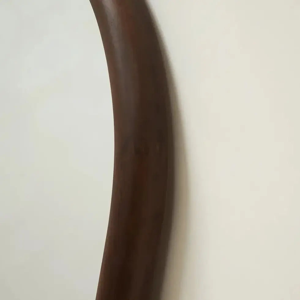 Küçük resim: Ladin model 