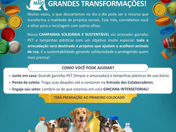 Pequenos Gestos, Grandes Transformações: Como o seu descarte pode salvar animais de rua.
