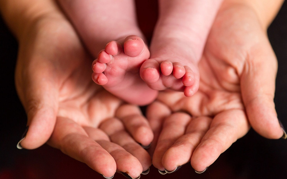 fertility