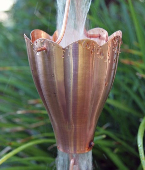 Round Scallop Cups | XL | Copper