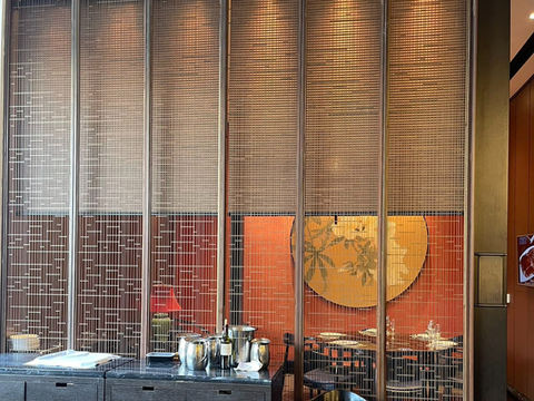 Falcon Commercial Motorized Roller Shades