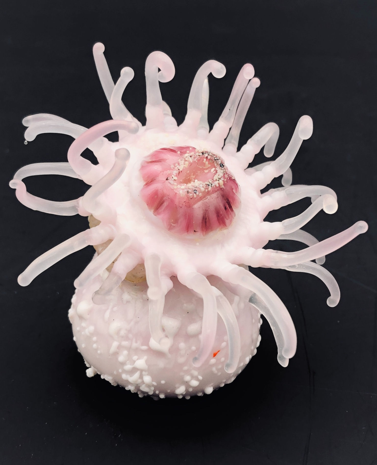 Serbay Doru 2 - Intermediate beasties E-course video channel