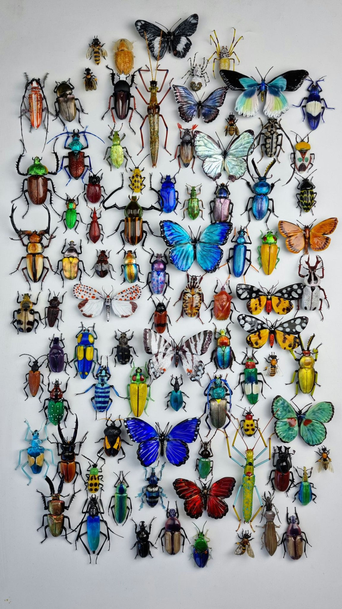 E-course Serbay Doru 2: Intermediate Beasties