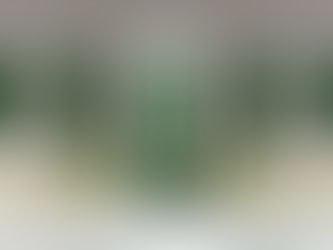 Drzwi zewnętrzne Bielsko - kiedy wymiana a kiedy renowacja