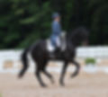 3169C2AB-E13F-429C-A284-03DB854750FC_edited.jpg