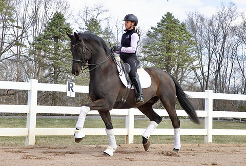 WhatsApp Image 2025-03-26 at 21.03.47.jpeg