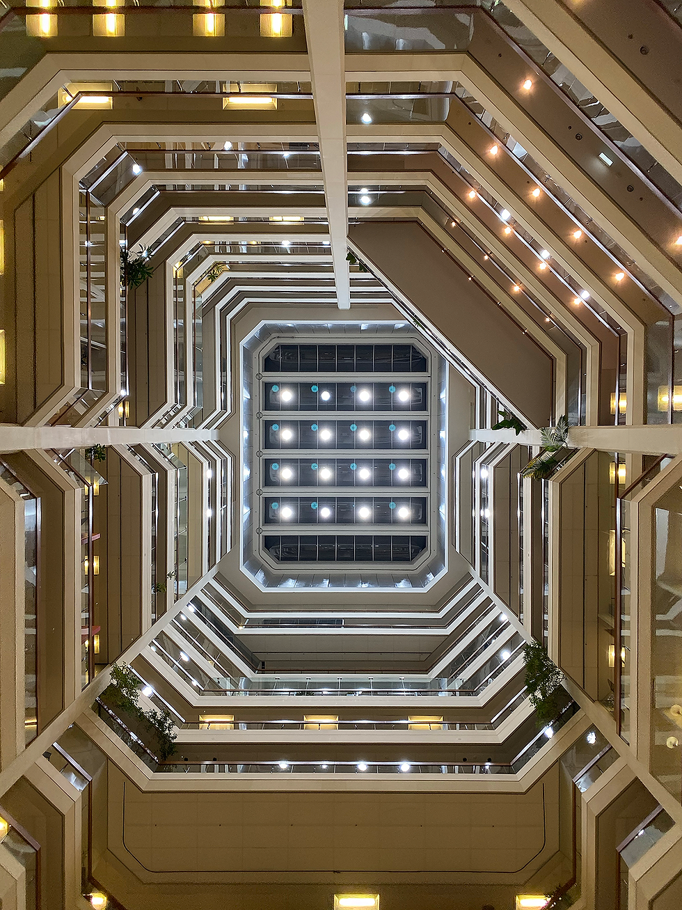 The Atrium Roof