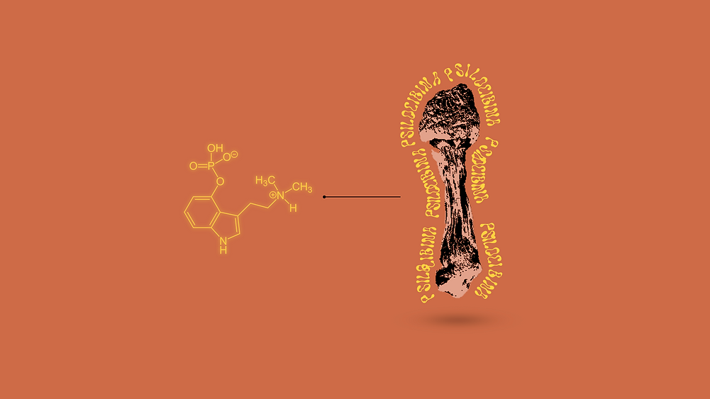 PSILOCIBINA.png
