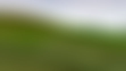 GT – Usages des terres excavées en aménagement urbain et modelés paysagés | 7 Juin 2024